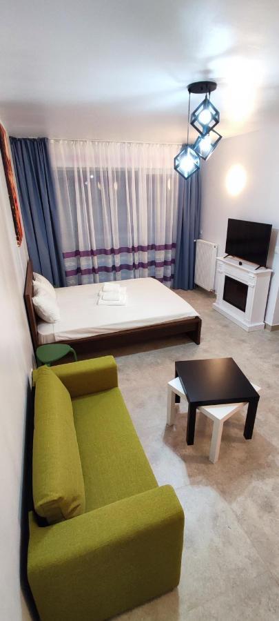 דירות Jacuzzi Belle View Sinaia-Free Parking מראה חיצוני תמונה