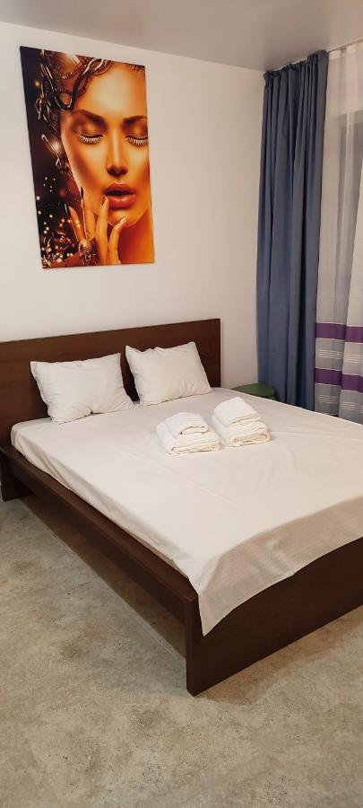 דירות Jacuzzi Belle View Sinaia-Free Parking מראה חיצוני תמונה
